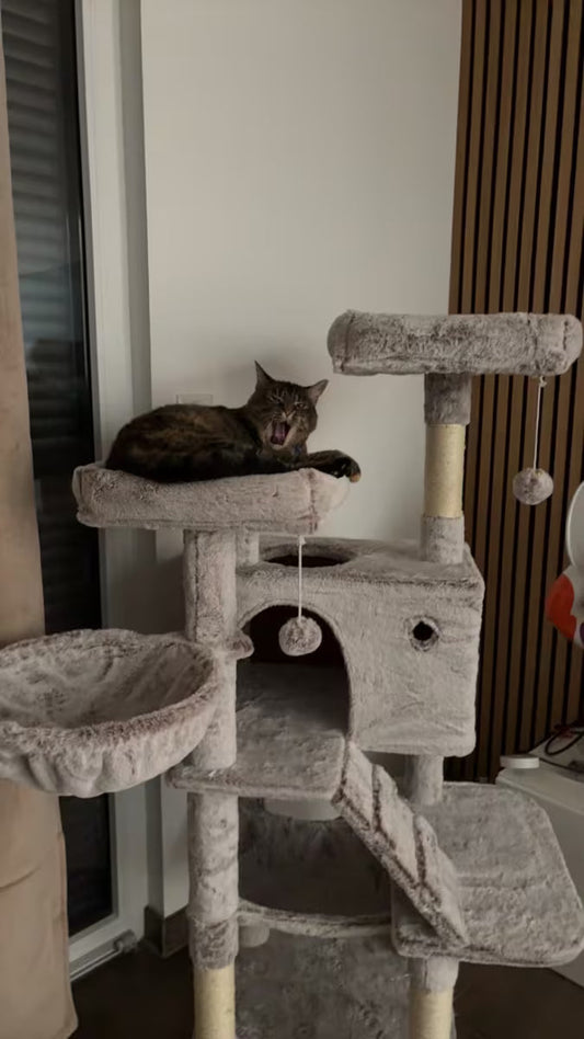 Stabilny drapak 135cm – królestwo, które Twój kot pokocha od pierwszego wejrzenia! 🐾